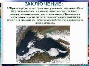 ЗАКЛЮЧЕНИЕ:В Чёрном море до сих пор происходят различные изменения. И они будут