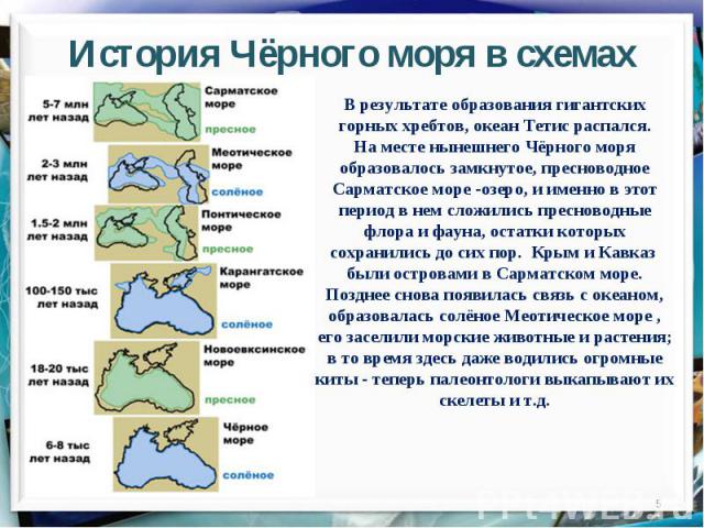 История Чёрного моря в схемахВ результате образования гигантских горных хребтов, океан Тетис распался.На месте нынешнего Чёрного моря образовалось замкнутое, пресноводное Сарматское море -озеро, и именно в этот период в нем сложились пресноводные фл…