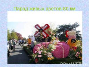 Парад живых цветов-80 км