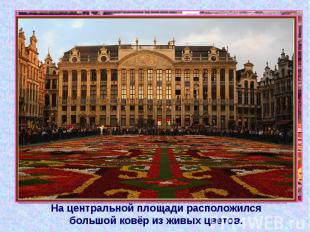 На центральной площади расположился большой ковёр из живых цветов.