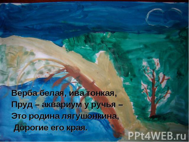 Верба белая, ива тонкая,Пруд – аквариум у ручья – Это родина лягушонкина, Дорогие его края.