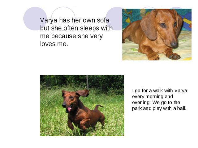 Varya has her own sofa but she often sleeps with me because she very loves me. I go for a walk with Varya every morning and evening. We go to the park and play with a ball.