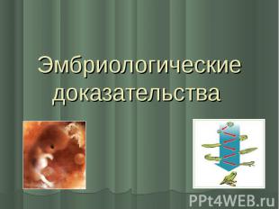 Эмбриологические доказательства