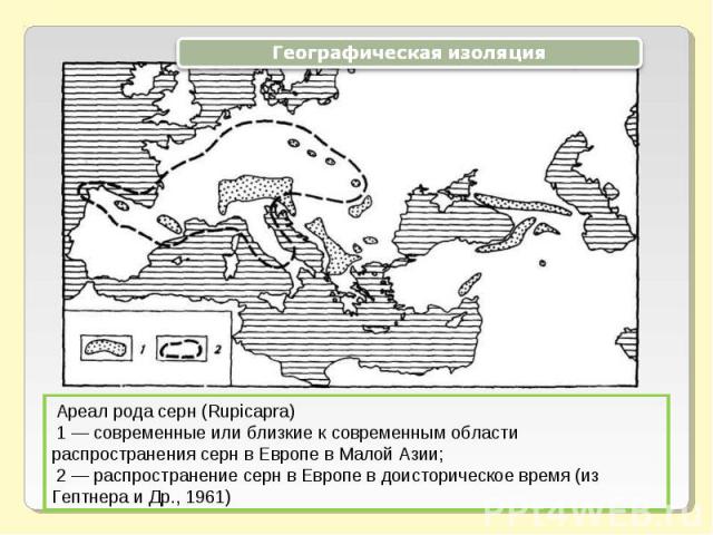 Географическая изоляция Ареал рода серн (Rupicapra) 1 — современные или близкие к современным области распространения серн в Европе в Малой Азии; 2 — распространение серн в Европе в доисторическое время (из Гептнера и Др., 1961)