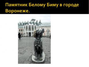 Памятник Белому Биму в городе Воронеже.