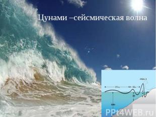 Цунами –сейсмическая волна