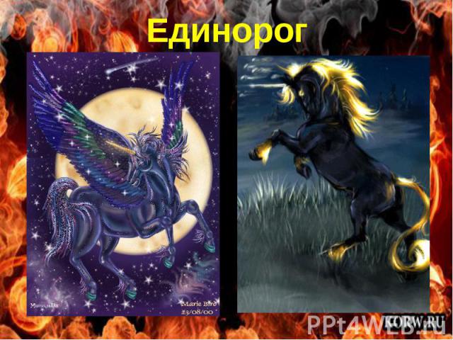 Единорог