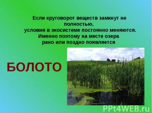 Если круговорот веществ замкнут не полностью, условия в экосистеме постоянно мен