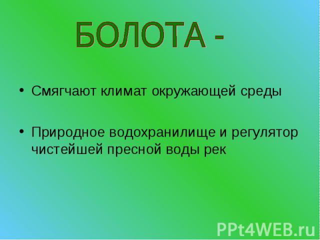 БОЛОТА -Смягчают климат окружающей средыПриродное водохранилище и регулятор чистейшей пресной воды рек