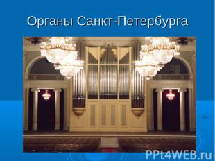 Органы Санкт-Петербурга