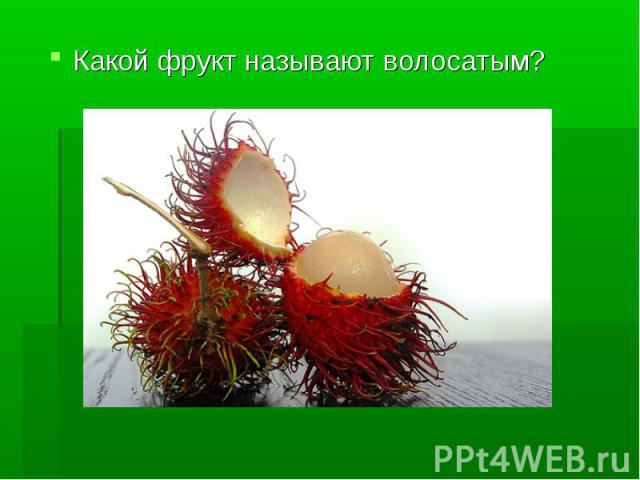 Какой фрукт называют волосатым?