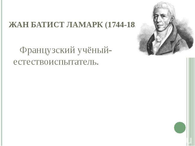 Жан Батист Ламарк (1744-1829) Французский учёный-естествоиспытатель.