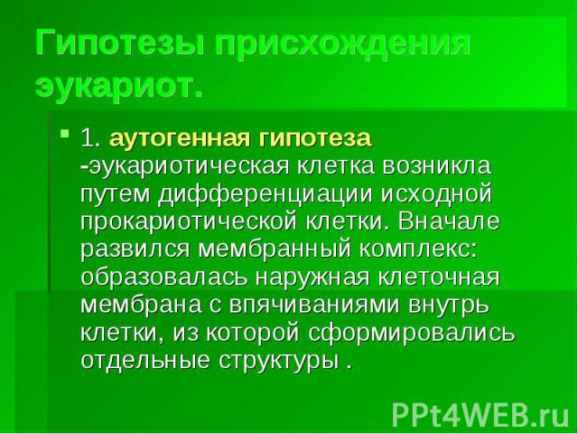 Гипотезы присхождения эукариот.1. аутогенная гипотеза -эукариотическая клетка возникла путем дифференциации исходной прокариотической клетки. Вначале развился мембранный комплекс: образовалась наружная клеточная мембрана с впячиваниями внутрь клетки…