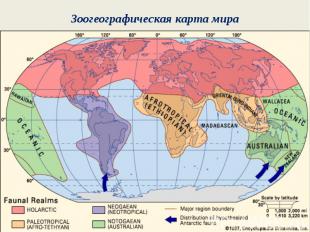 Зоогеографическая карта мира