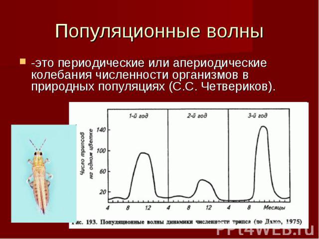 Популяционные волны-это периодические или апериодические колебания численности организмов в природных популяциях (С.С. Четвериков).