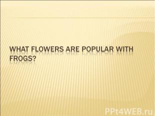 What flowers are popular with frogs?