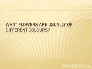 What flowers are usually of different colours?