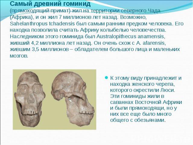 Самый древний гоминид (прямоходящий примат) жил на территории северного Чада (Африка), и он жил 7 миллионов лет назад. Возможно, Sahelanthropus tchadensis был самым ранним предком человека. Его находка позволила считать Африку колыбелью человечества…