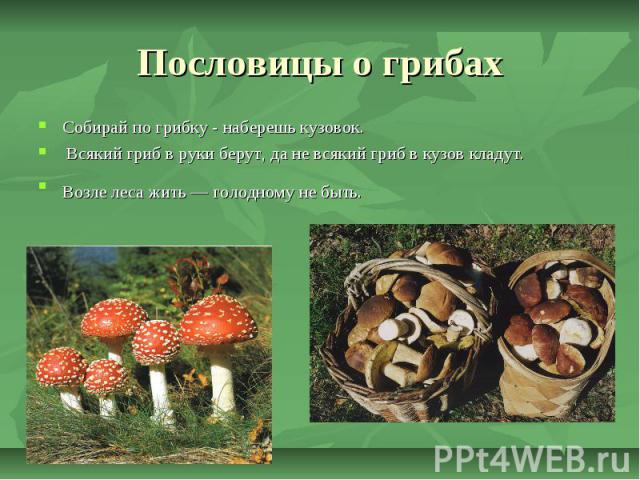 Пословицы о грибах Собирай по грибку - наберешь кузовок. Всякий гриб в руки берут, да не всякий гриб в кузов кладут. Возле леса жить — голодному не быть.