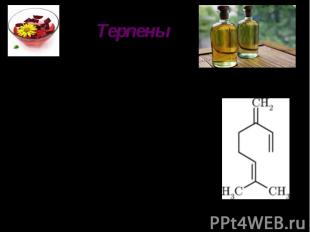 ТерпеныТерпены — класс углеводородов, вторичных растительных метаболитов. К терп