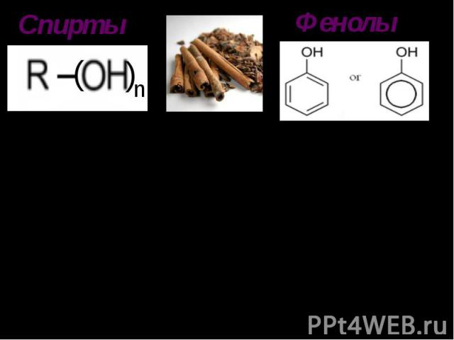 Фенолы Спирты (устар. алкоголи) -органические соединения, содержащие одну или несколько гидроксильных групп. Фенолы — органические соединения в молекулах которых гидроксильные группы связаны с атомами углерода ароматического кольца.Спиртами богаты э…