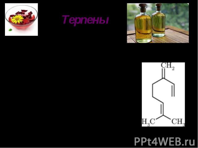 ТерпеныТерпены — класс углеводородов, вторичных растительных метаболитов. К терпенам относятся углеводороды, имеющие общую формулу (С3Н6)n. В больших количествах терпены содержатся в маслах хвои, мускатного ореха, бергамота, розы, лимона и сирени.