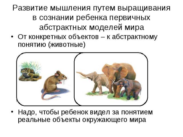 Развитие мышления путем выращивания в сознании ребенка первичных абстрактных моделей мира От конкретных объектов – к абстрактному понятию (животные)Надо, чтобы ребенок видел за понятием реальные объекты окружающего мира