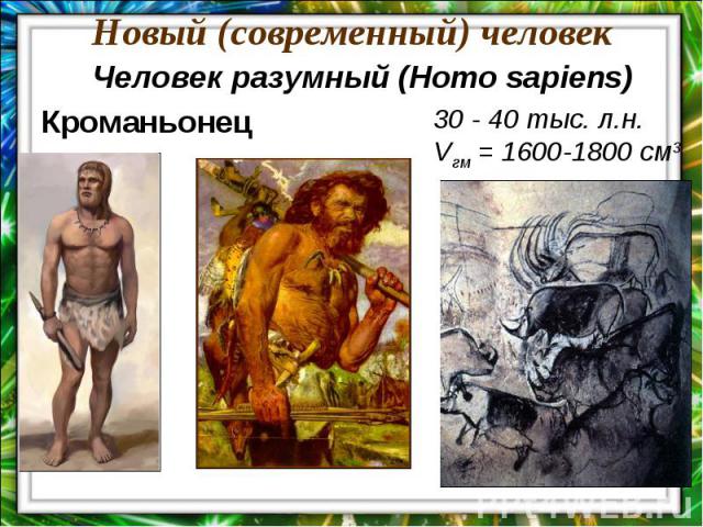 Новый (современный) человекЧеловек разумный (Homo sapiens) Кроманьонец30 - 40 тыс. л.н.Vгм = 1600-1800 см3