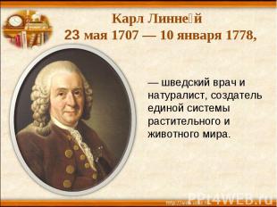 Карл Линней 23 мая 1707 — 10 января 1778, — шведский врач и натуралист, создател