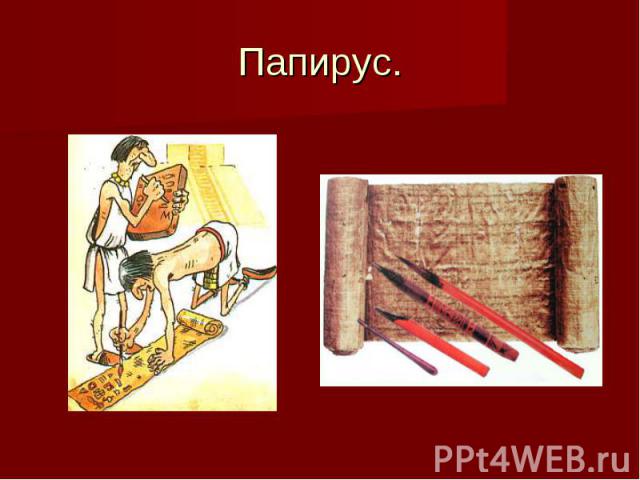 Папирус.