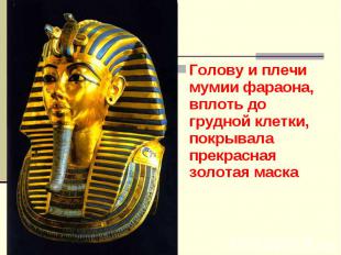 Голову и плечи мумии фараона, вплоть до грудной клетки, покрывала прекрасная зол