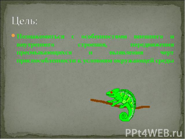 Цель: Познакомиться с особенностями внешнего и внутреннего строения, передвижения пресмыкающихся и выявления черт приспособленности к условиям окружающей среды