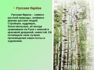 Русская берёза Русская береза – символ русской природы, любимое дерево русских л