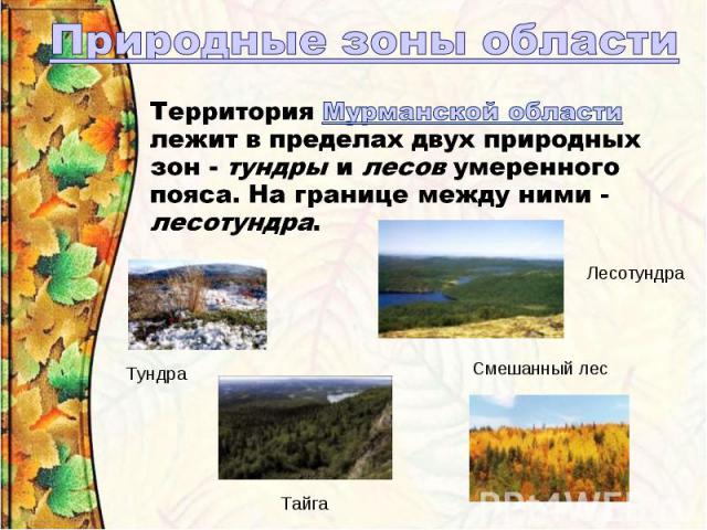Природные зоны областиТерритория Мурманской области лежит в пределах двух природных зон - тундры и лесов умеренного пояса. На границе между ними - лесотундра.