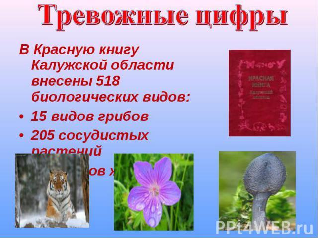 Тревожные цифрыВ Красную книгу Калужской области внесены 518 биологических видов:15 видов грибов205 сосудистых растений 280 видов животных