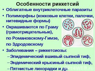 Особенности риккетсий Облигатные внутриклеточные паразиты Полиморфны (кокковые к