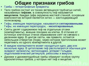 Общие признаки грибовГрибы – гетеротрофные эукариотыТело грибов состоит из тонки