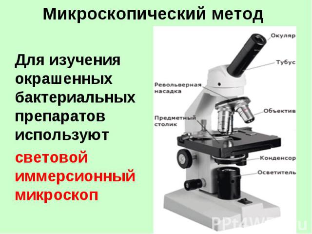 Микроскопический метод Для изучения окрашенных бактериальных препаратов используют световой иммерсионный микроскоп