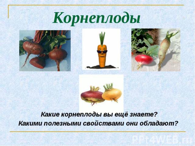 Какие корнеплоды вы ещё знаете? Какие корнеплоды вы ещё знаете? Какими полезными свойствами они обладают?